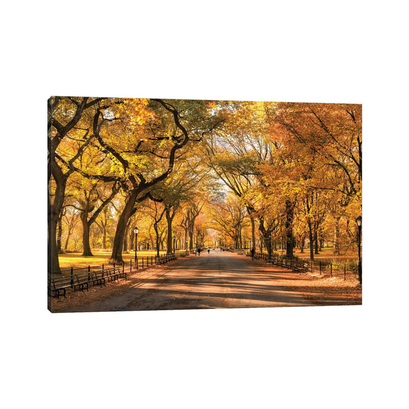 Autumn Colors In Central Park, New York City, USA by Jan Becke - Wrapped Canvas Print, 101.6 cm H x 66.04 cm W x 1.91 cm D
