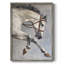 ANIMALS Series CCCCXXIV, reproduction encadrée - bois massif-868897746