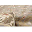 Tapis gris Royal Oushak 3 pi 1 po x 5 pi 0 po