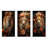 Lions Regal Portraiture - Lion Metal Wall Decor Set Of 3-823799377