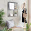 Metal Flat Wall Mirror with Shelves