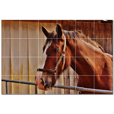 Photo de cheval 4,25 x 4,25