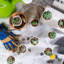 12 plantes grasses artificielles en pot