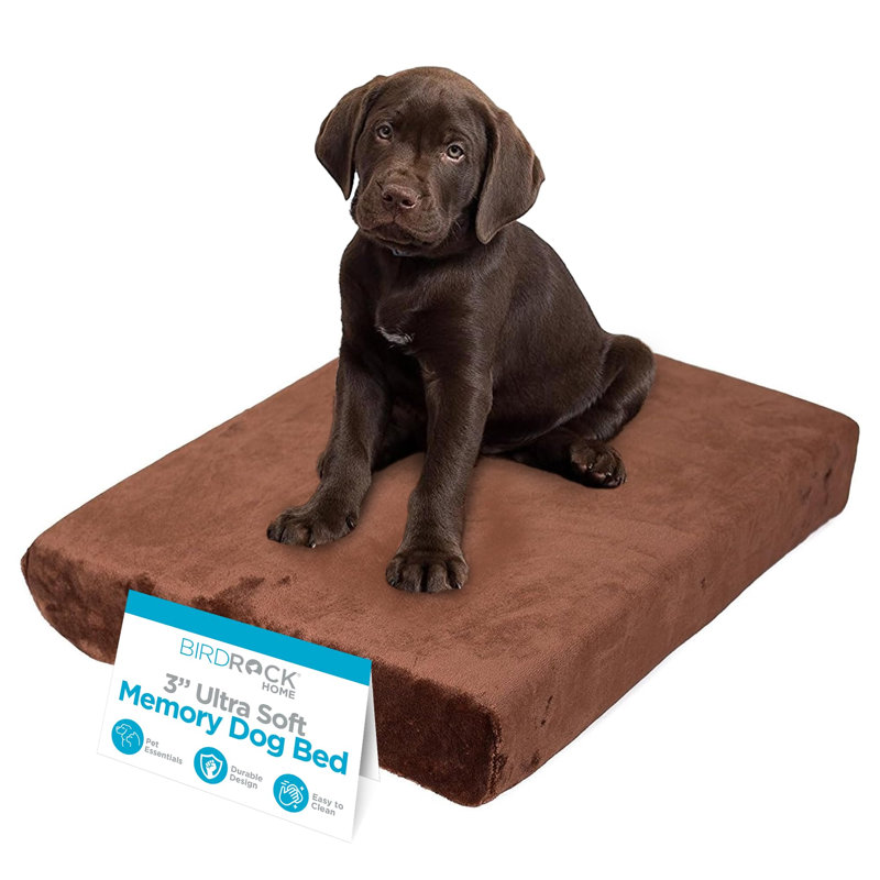 Lit pour chien en mousse viscoélastique ultra-douce BIRDROCK Home, Brun, Petit (l 22 po x P 16 po x H 3 po)