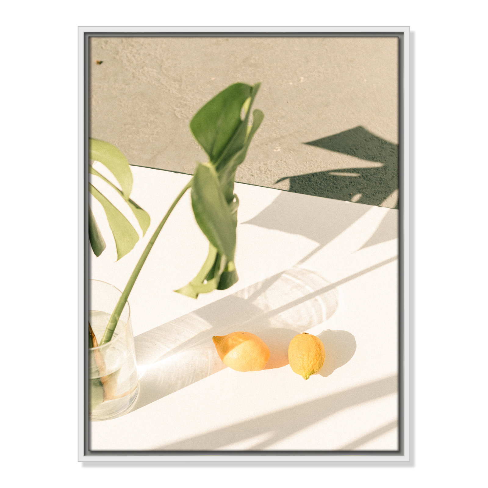 Citrus and Palms Print, 25.5'' H x 19.5'' W x 2'' D, White Framed