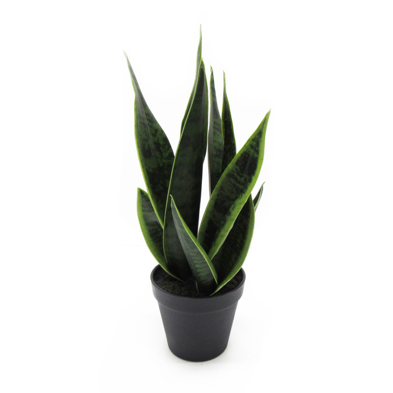 Ayliah 16 "plante artificielle sansevieria en pot noir