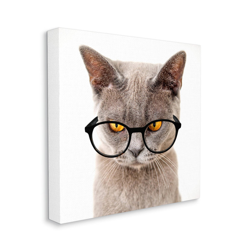 «Cat Face Hipster Glasses» par Karen Smith, impression sur toile tendue, H 17 po x l 17 po x P 1,5 po