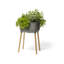 Styrkar Planter