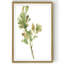 «Earthtone Herbs I», peinture sur toile-1127118275-1127117565