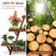Ellenboro Plant Stand