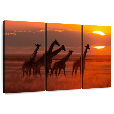 Girafes d'Afrique itinérantes