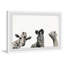 Orofino What a Trio, reproduction encadrée-70380246-74491757