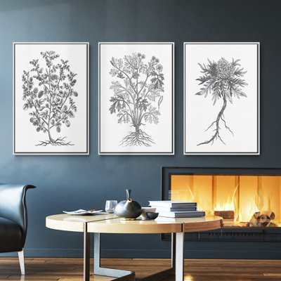" B&W Plant Specimen I " 3 - Pieces