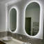 Oval LED Wall Mirror-957629151