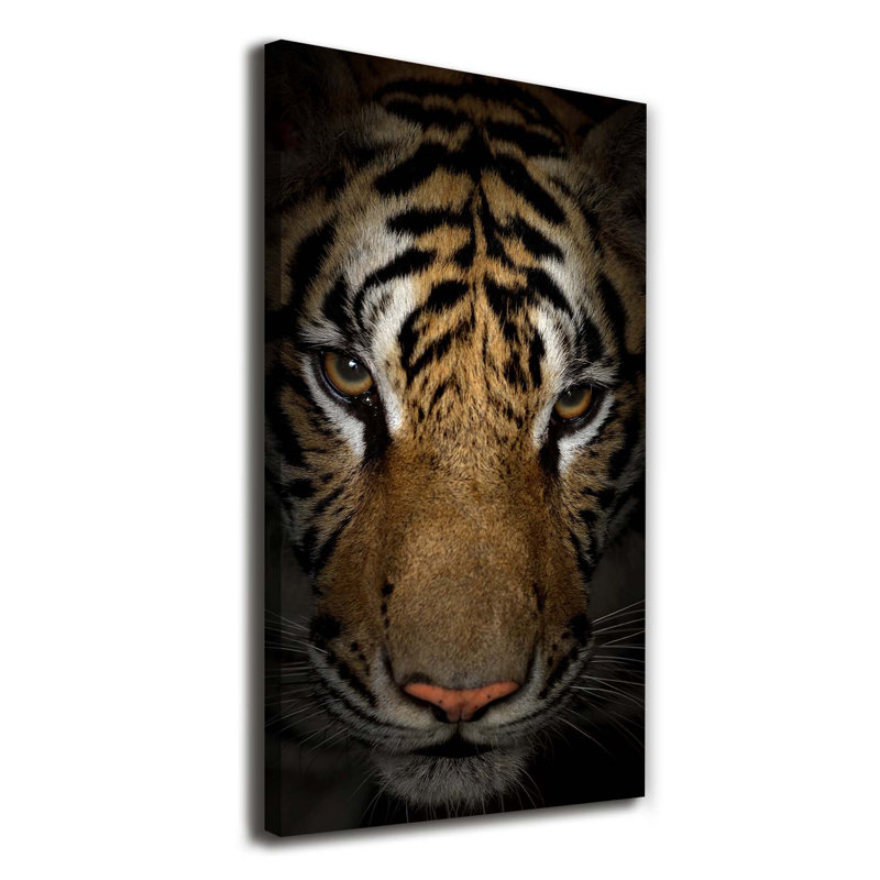 Tiger - Wrapped Canvas Print