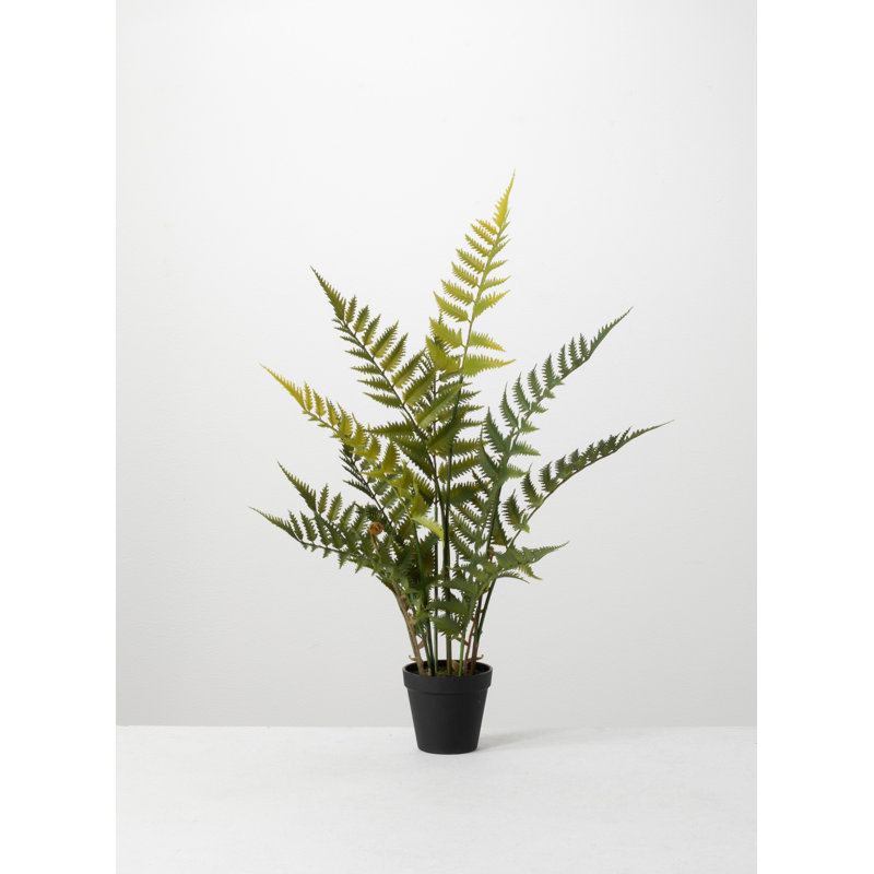 Fougère artificielle en pot, H 27 po x l 16 po x P 16 po