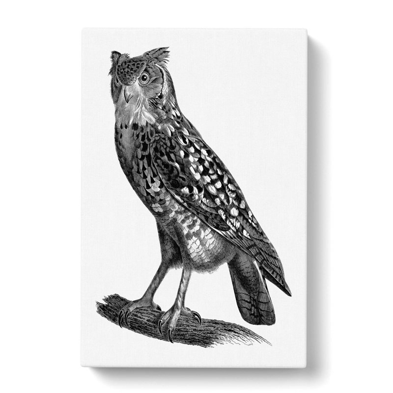 Egyptian Owl Illustration - Wrapped Canvas, 76cm H x 50cm W x 3cm D