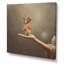 «Blossoming Butterfly Blessing» sur toile-789896646-789896696