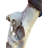 Sirise Real Hartebeest Antelope Skull