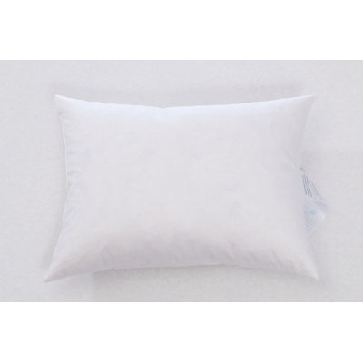 Symple Stuff Modern Rectangular Pillow Insert