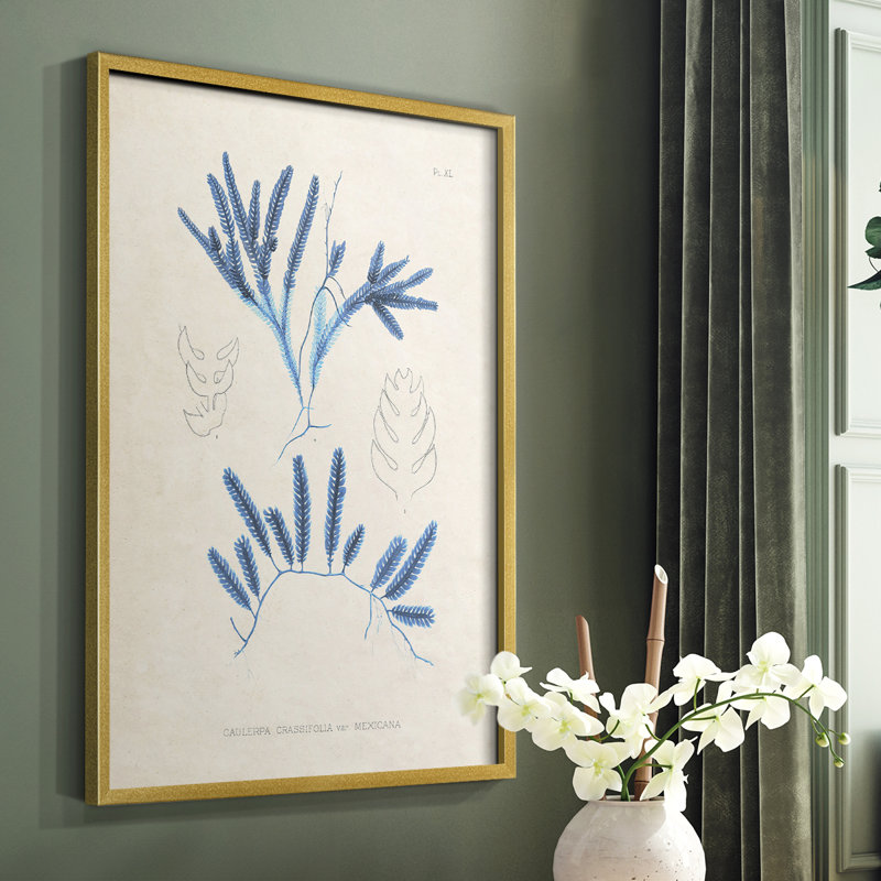 Blue Marine Algae I, reproduction encadrée - bois massif, Or, H 20 po x l 16 po