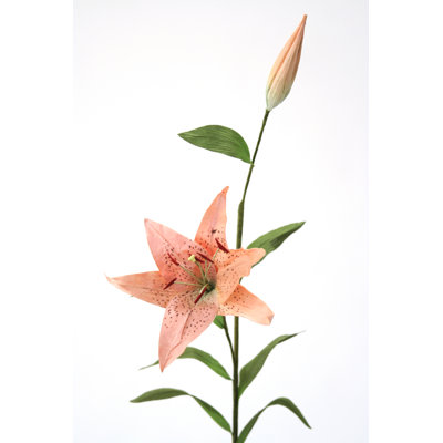 Lillies Arrangement