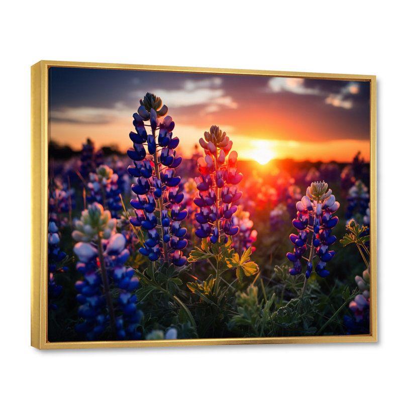 Sunrise Blue Bonnets Field I - Décoration murale bonnets bleus, Cadre flottant doré, H 12 po x l 20 po x P 1 po