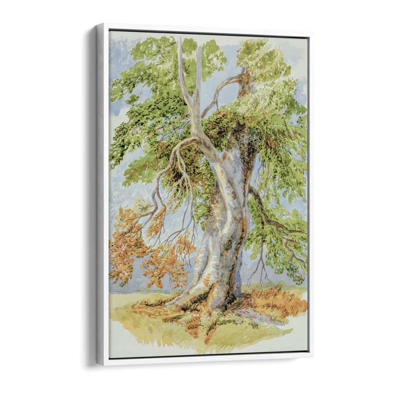 Print, 20.32cm H x 30.48cm W