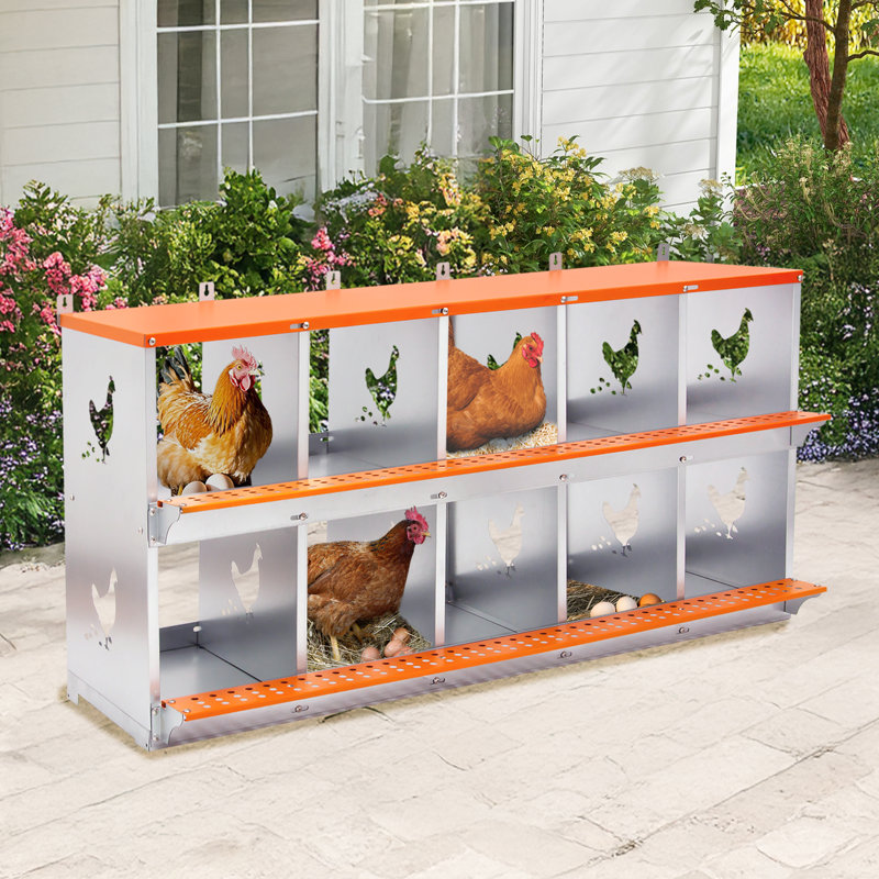Nichoir en métal à 10 baies pour poules / canards, fixation murale, acier galvanisé ventilé, facile à assembler, orange