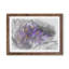 Wild Purple Orchid Flowers - Wall Art-89191248-89191252
