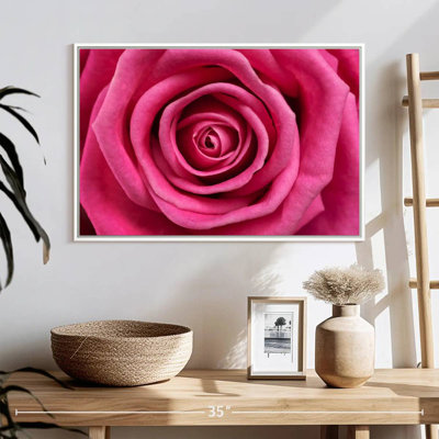 Hot Pink Rose