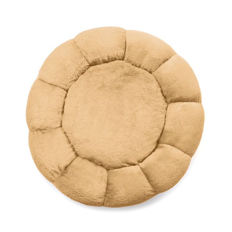 Lit pour chien Tucker Murphy Pet ™ Daisy, H 4 po x l 21 po x P 21 po, Or