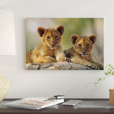 " African Lion Cubs, Hwange National Park, Zimbabwe " by Tim Fitzharris