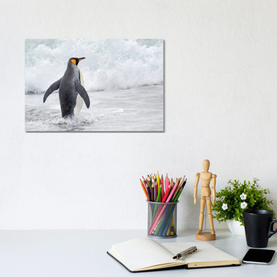 King Penguin Rookery on Salisbury Plain in the Bay of Isles. South Georgia Island 1 Piece Wrapped Canvas Wall Art