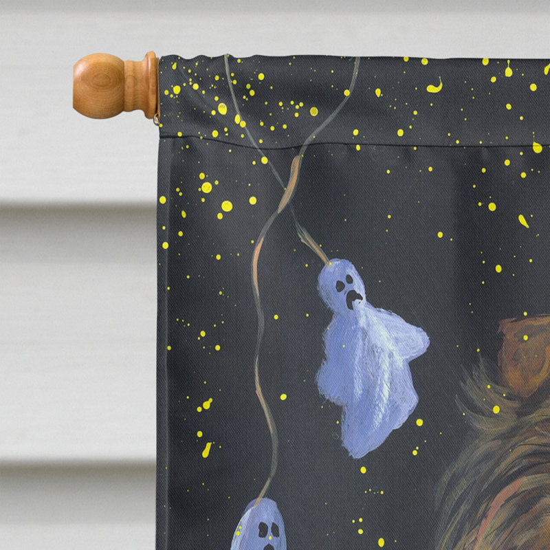 Drapeau de maison Hvidovre Sheltie Halloween en polyester à 2 faces 3 x 2 pi, Sheltie sorcière - Halloween