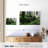 Harnek Moss In Forest-107870034
