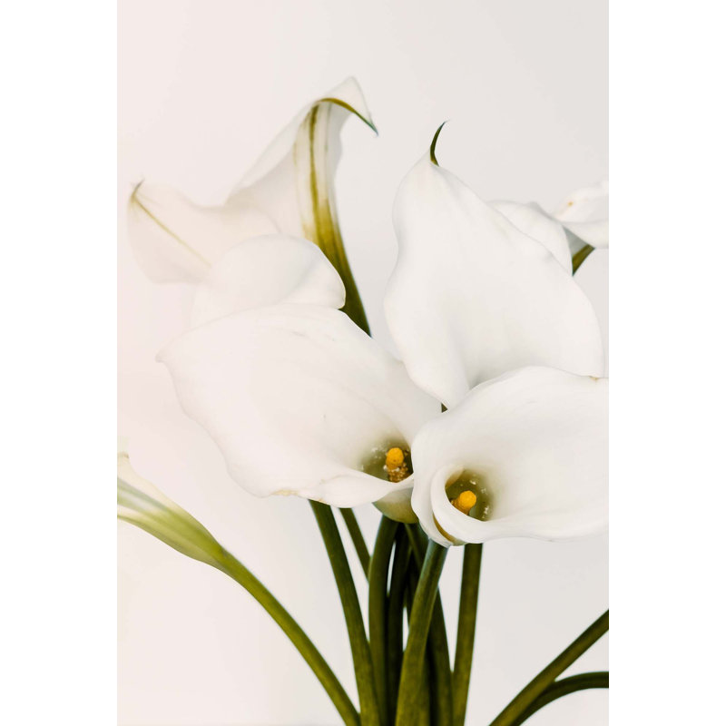 Calla Lily 2 (White) Print, 60" H x 41" W x 2" D