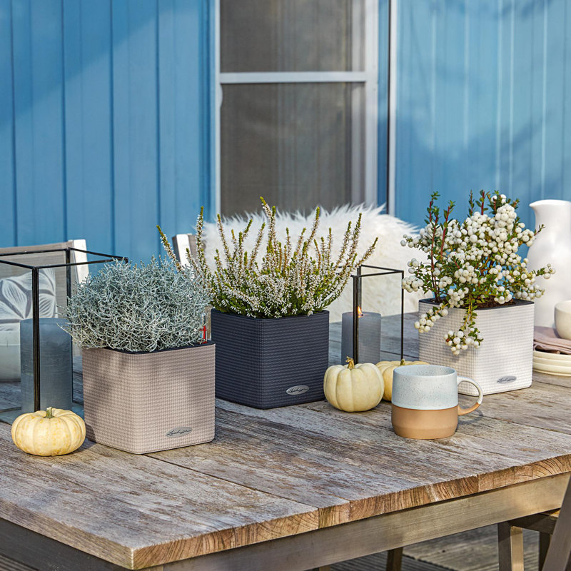 Cube Pot Planter, Sand Brown
