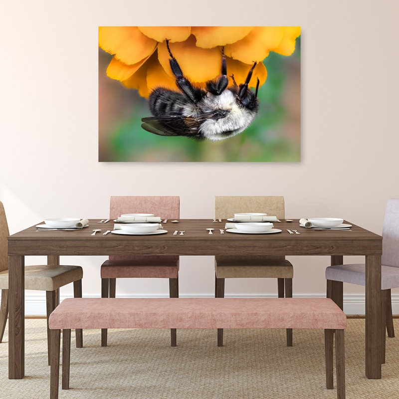 Abeille duveteuse sur fleur orange, illustration murale nature, H 32 po x l 48 po