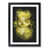 Black Framed selected