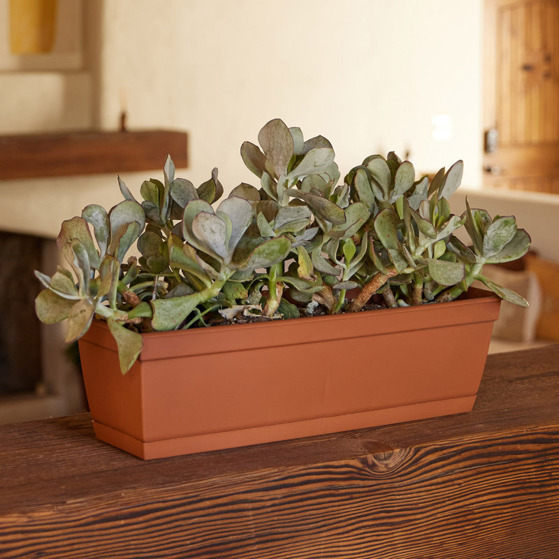 Dura Cotta Traditional Plastic Indoor/Outdoor Rectangle Window Box Planter with Attached Saucer, Terra Cotta
