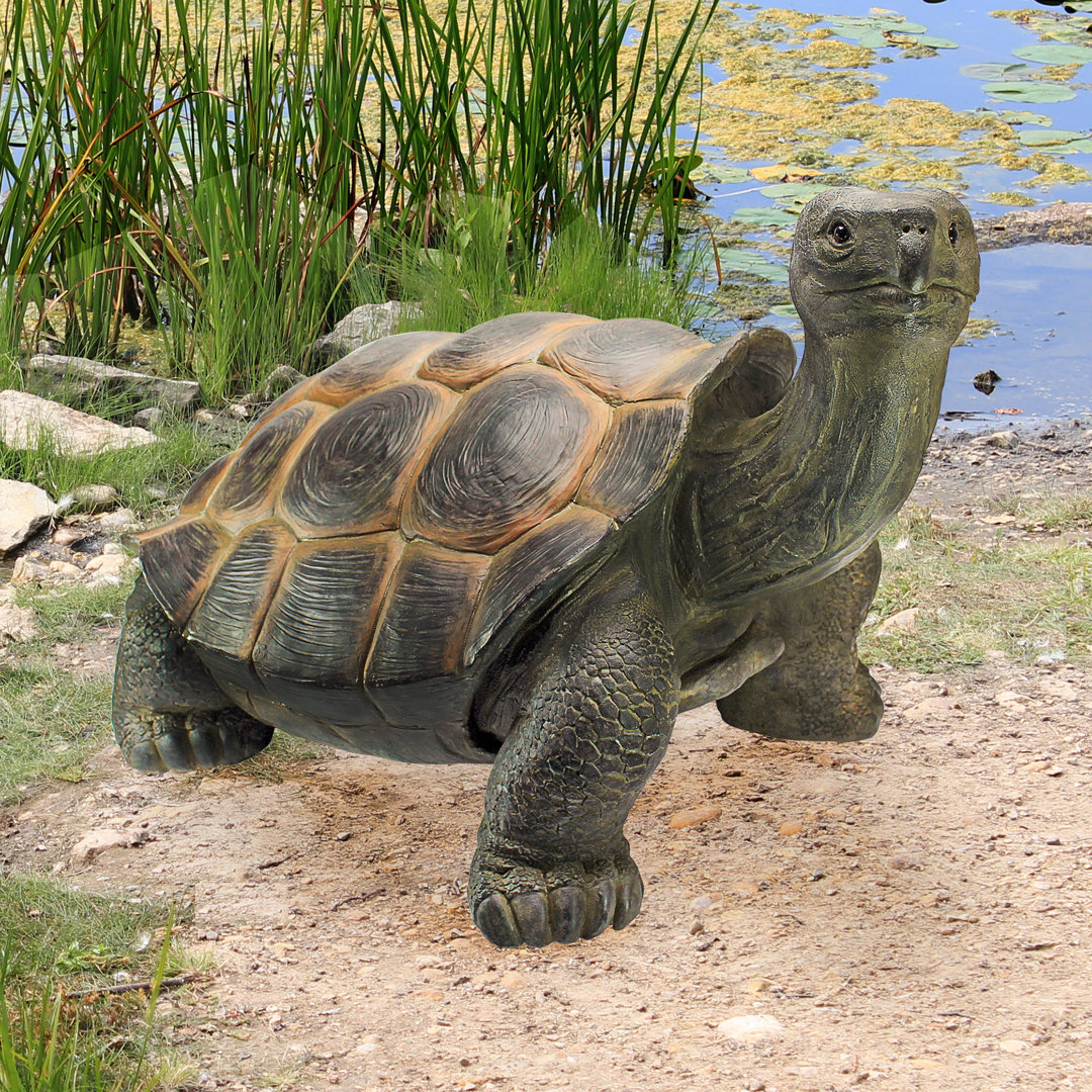 The Cagey Tortoise Statue Design Toscano