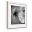 Renoncule foncé II - cadre photo-56949608-56949615-56897106