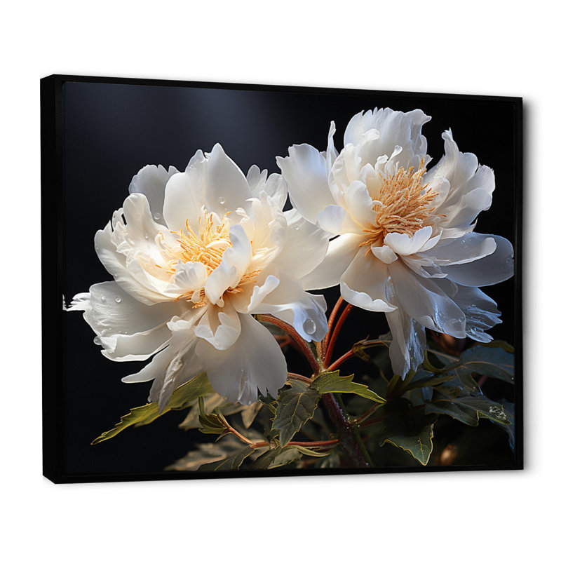 White Pivoines, impression romantique III sur toile, Cadre flottant noir, H 34 po x l 44 po x P 1,5 po