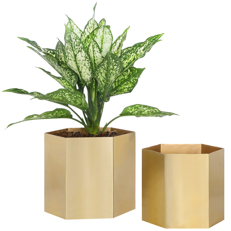 Metal Pot Planter, Brass Tone