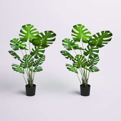 48'' Faux Monstera Deliciosa Plant in Pot