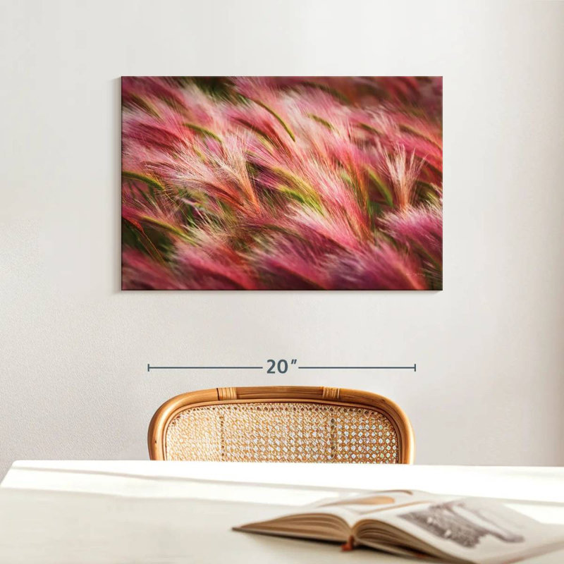 Harnek Foxtail Barley, 16" H x 24" W