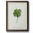 " Lucky Charm I " Painting Print-282792900-271137260