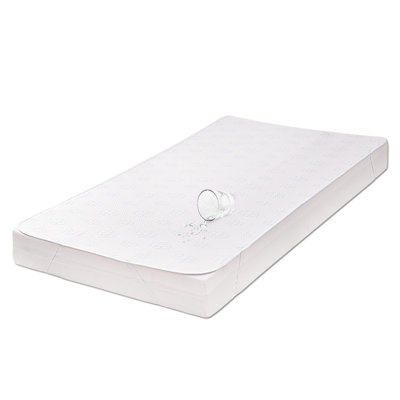 17 Stories Mattress Protector Mattress