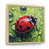 Cadre naturel flottant